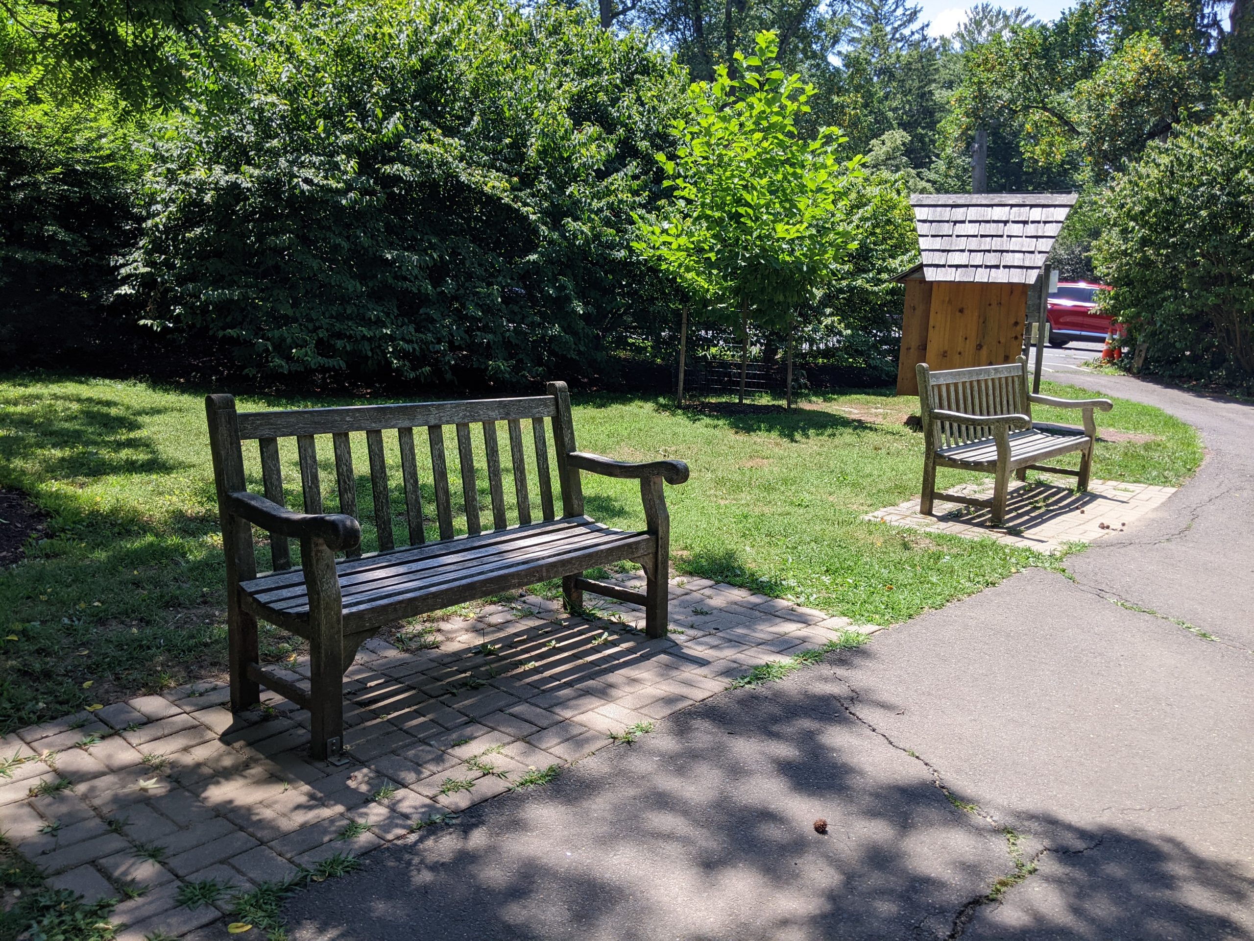SHADY - Bench on walking path at Marquand Park in Princeton NJ