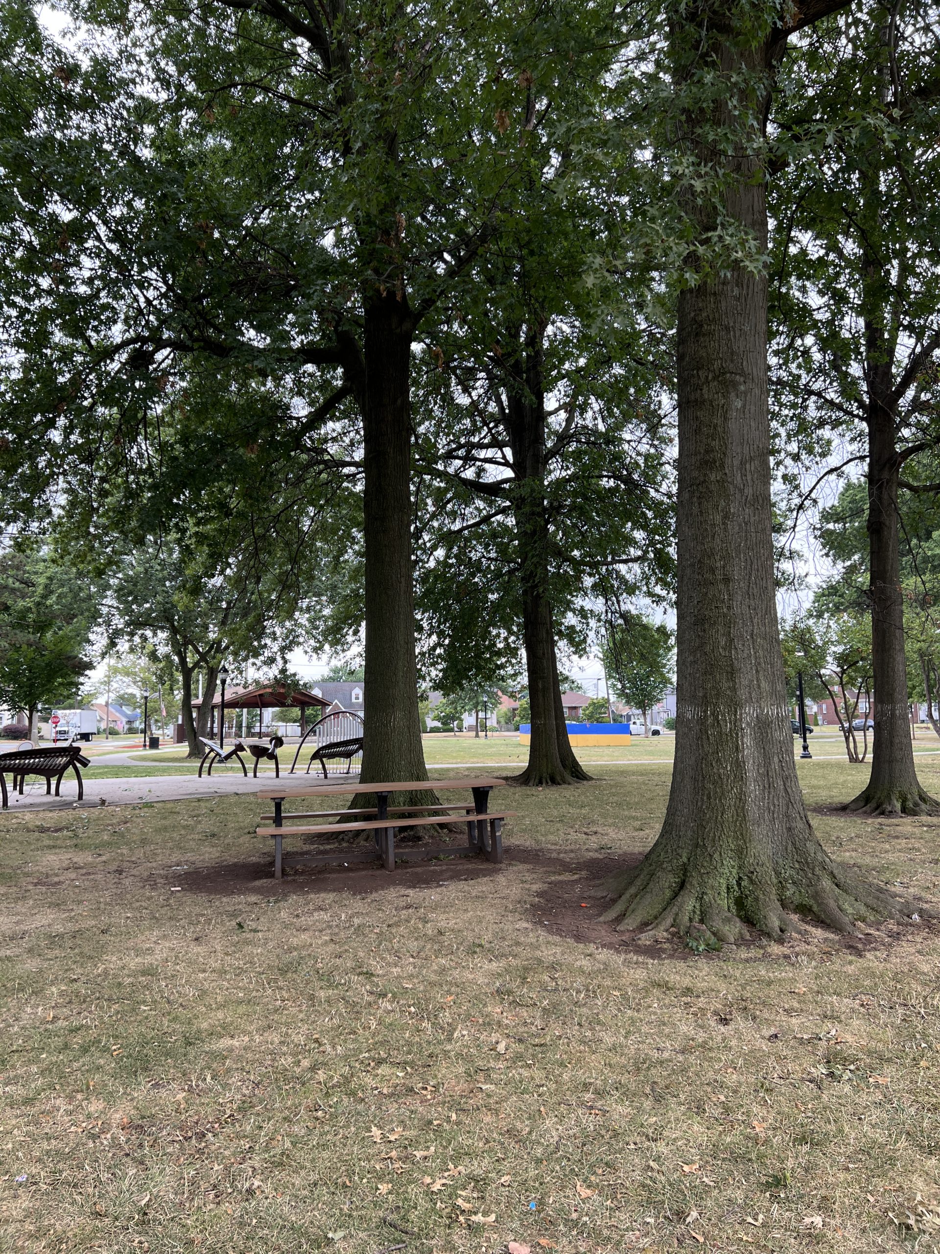 SHADY area with picnic table at Carteret Park in Carteret NJ