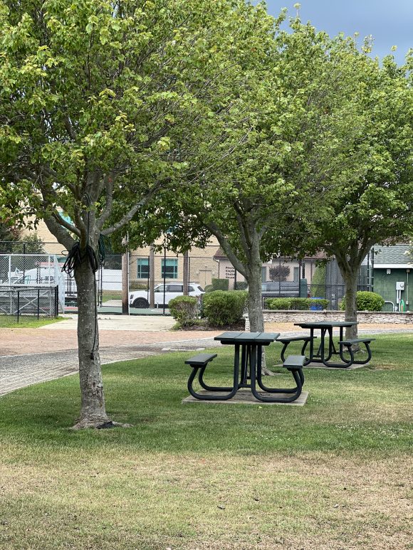 tables under tree at Jerome Avenue Recreational Complex in Margate NJ