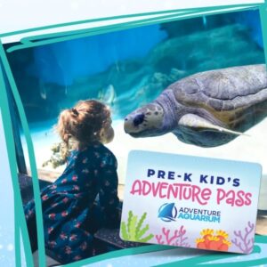 Adventure Aquarium Pre-K Adventure Pass image with girl watching turtle