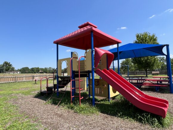 Alexandria Township Park Playground in Milford NJ - WIDE image - red roof playground side by side SLIDES and ladder side