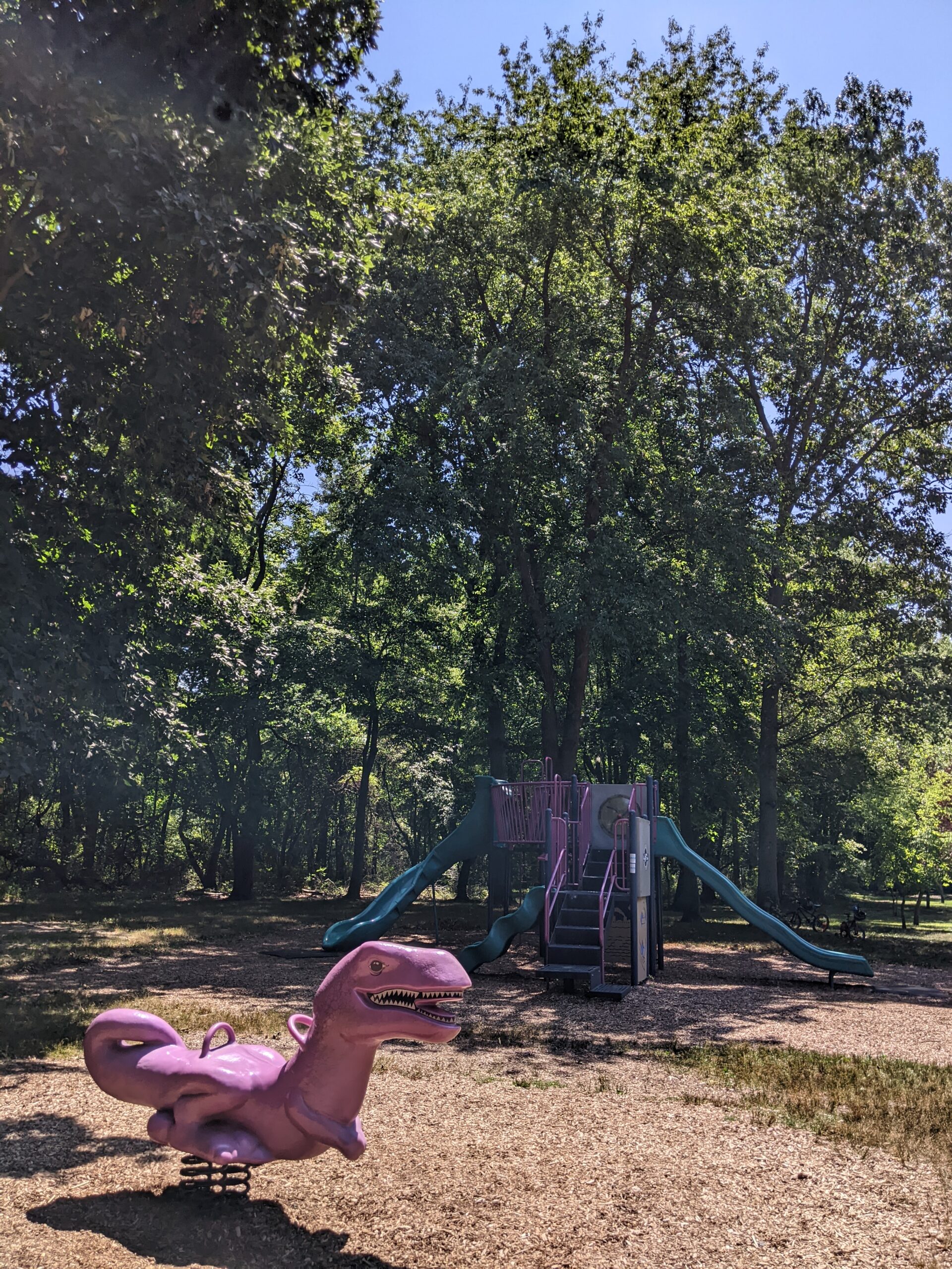 Children's Park Playground at Veteran's Park in Hamilton Township NJ - TALL image - green and purple playground with ride on springy dinosaur