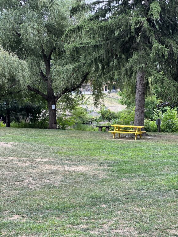 Grace Lord Park in Boonton NJ - Extras - picnic table and bench near water TALL image JFF