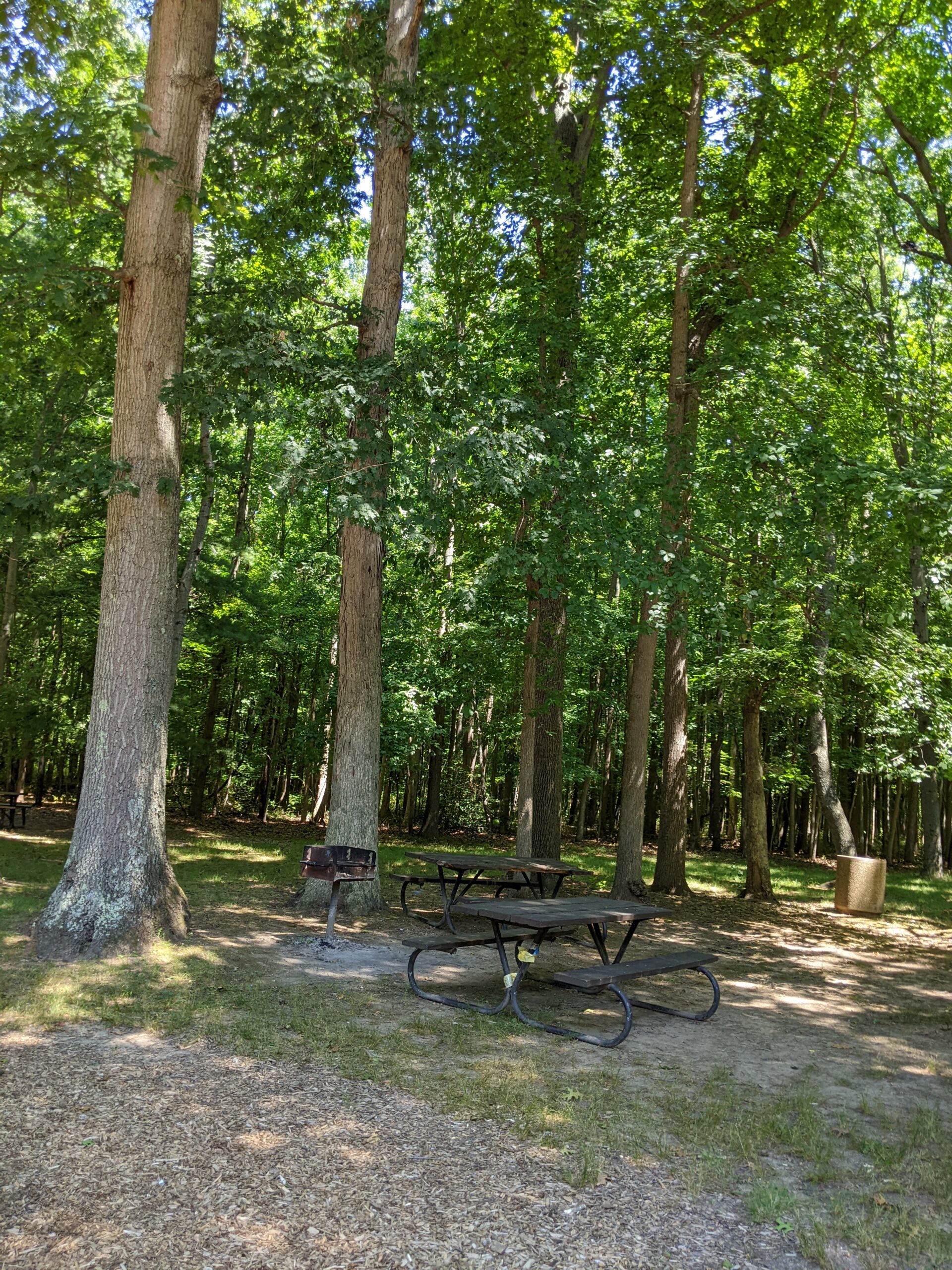Veteran's Park in Hamilton Township NJ - SHADY - picnic tables under trees