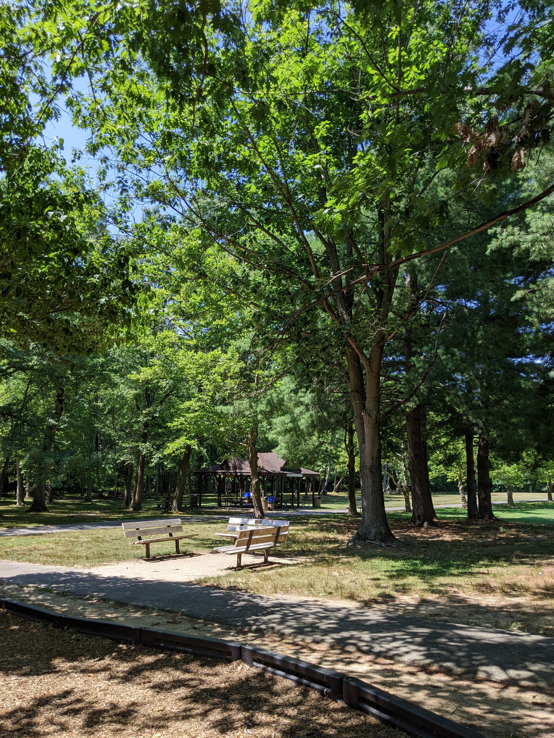 Veteran's Park in Hamilton Township NJ - Shady - Benches under tree