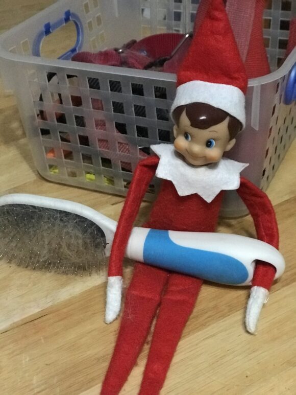 An elf on the shelf holds a dog brush filled with dog hair.