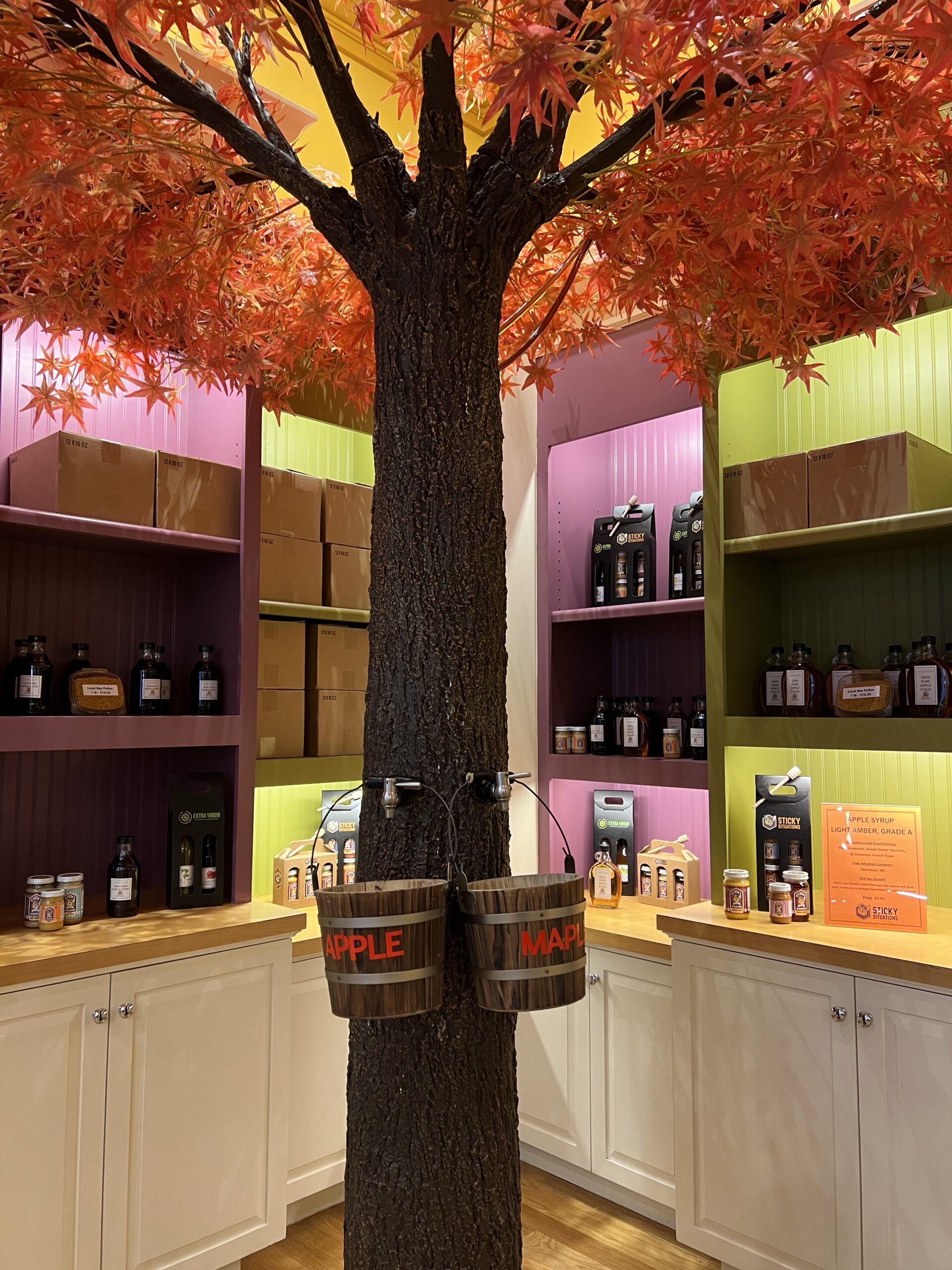 Sticky situations - store in national harbor - maple tree with buckets for sampling