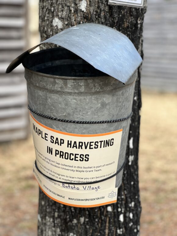 Historic Batsto Village Maple Sugaring in Wharton State Forest New Jersey map sap collection bucket with a label for stockton maple project