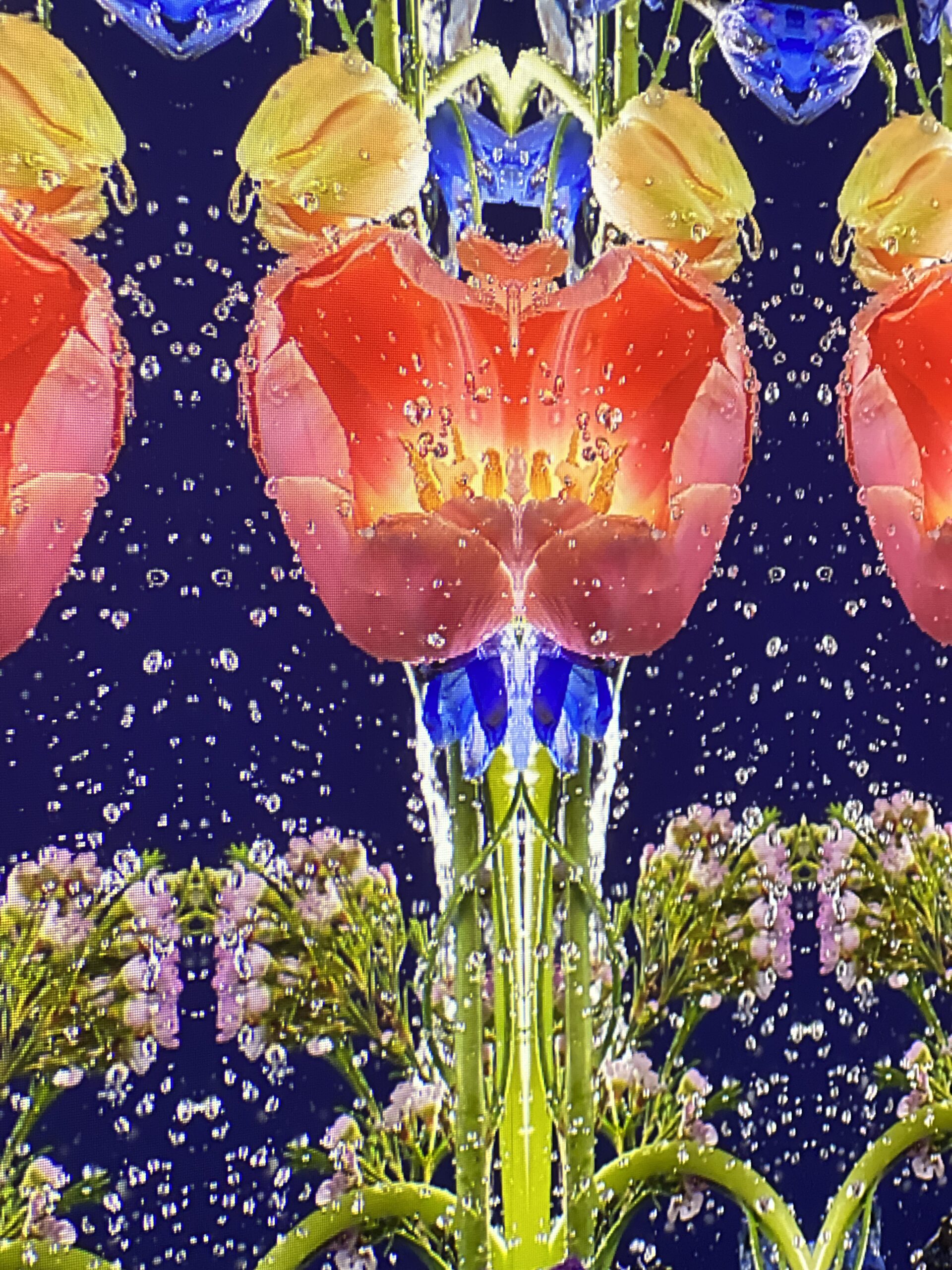 an floral image from a multimedia display at the Philadelphia Flower Show