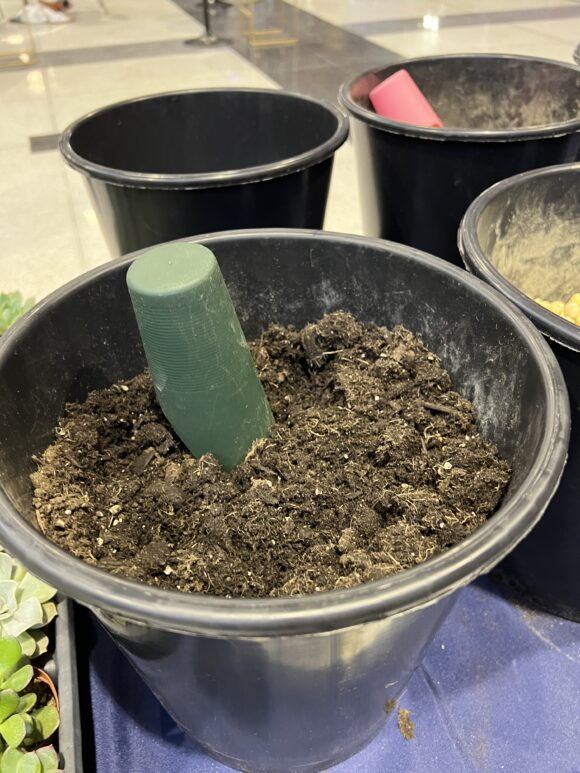 soil for DIY succulent terrarium activity at the Philadelphia Flower Show