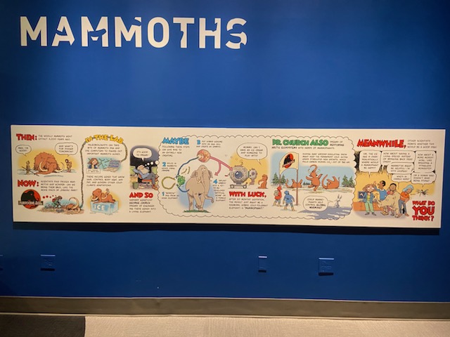 Making Mammoths Comic Strip on wall