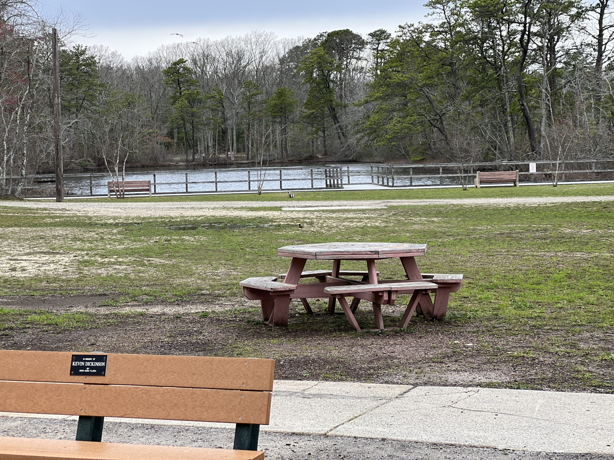 Picnic tables at Birch Grove Park Playground in Northfield NJ overlooking the pond WIDE image