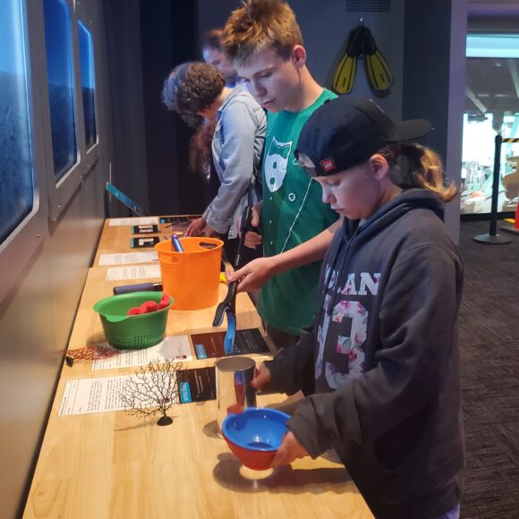 labwork at OceanXperience at Liberty Science Center in Jersey City NJ