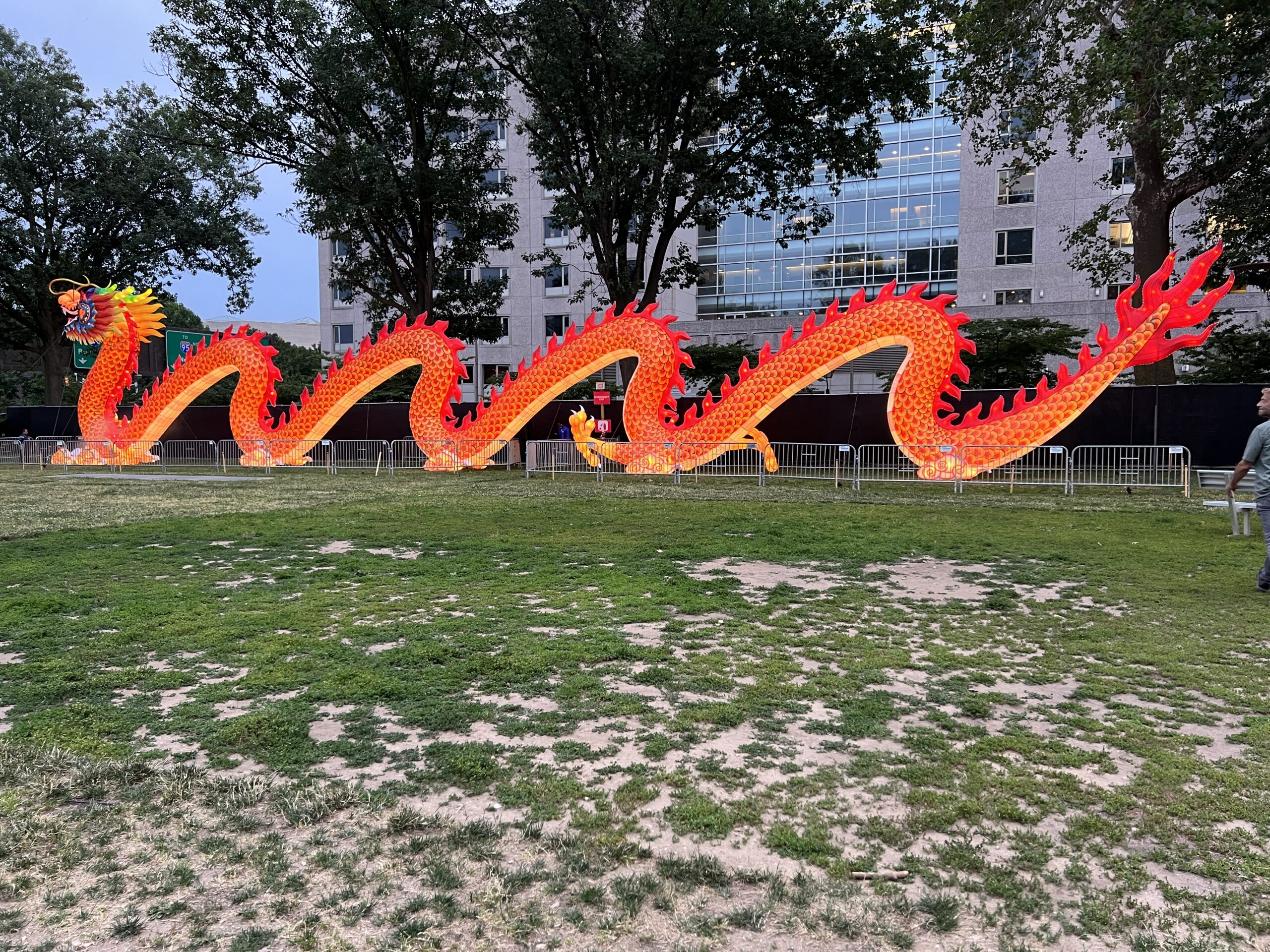 Chinese Dragon at Philadelphia Chinese Lantern Festival lit up at dusk WIDE