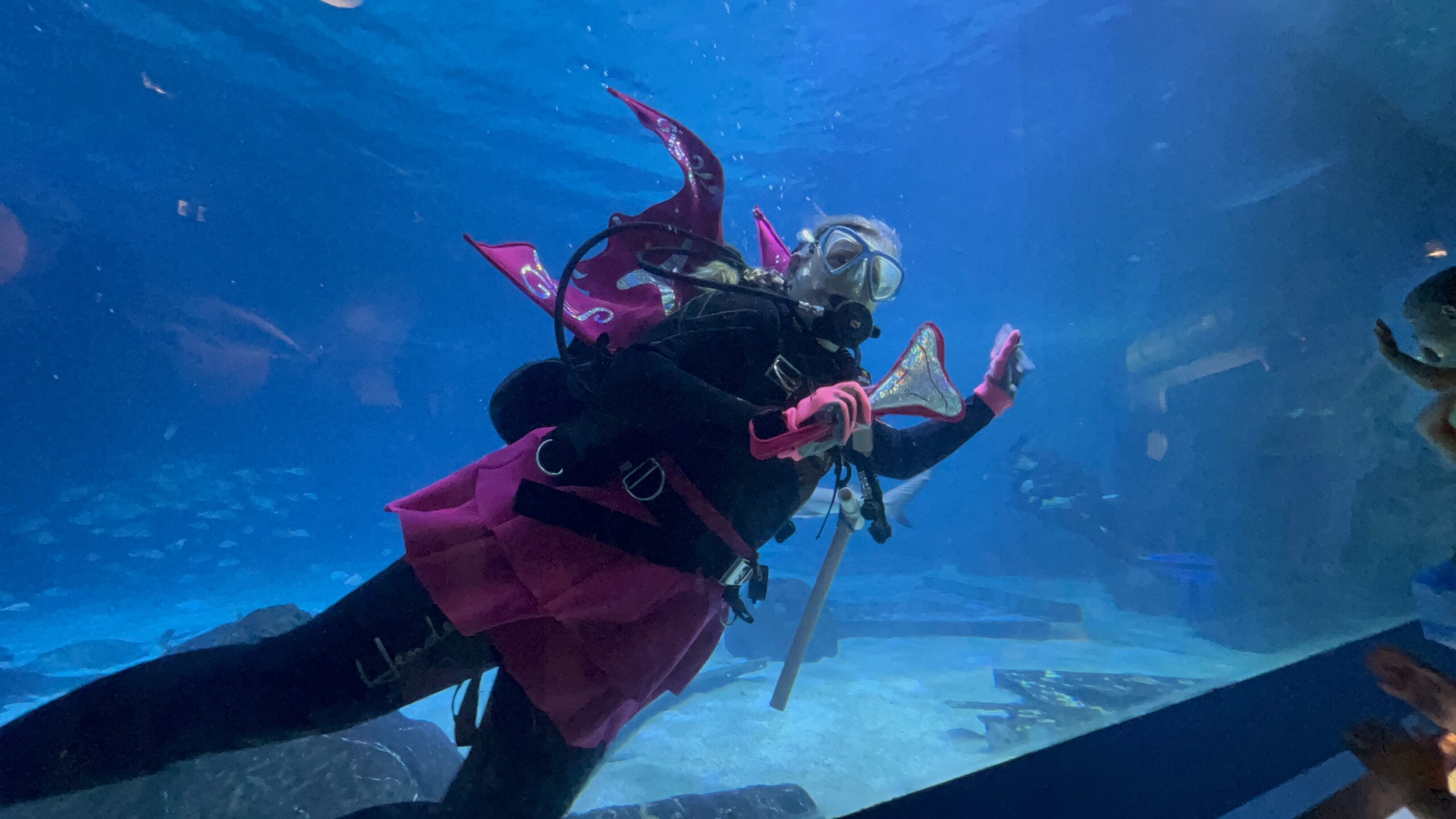 Shark Tooth Fairy at Adventure Aquarium during Shark Summer