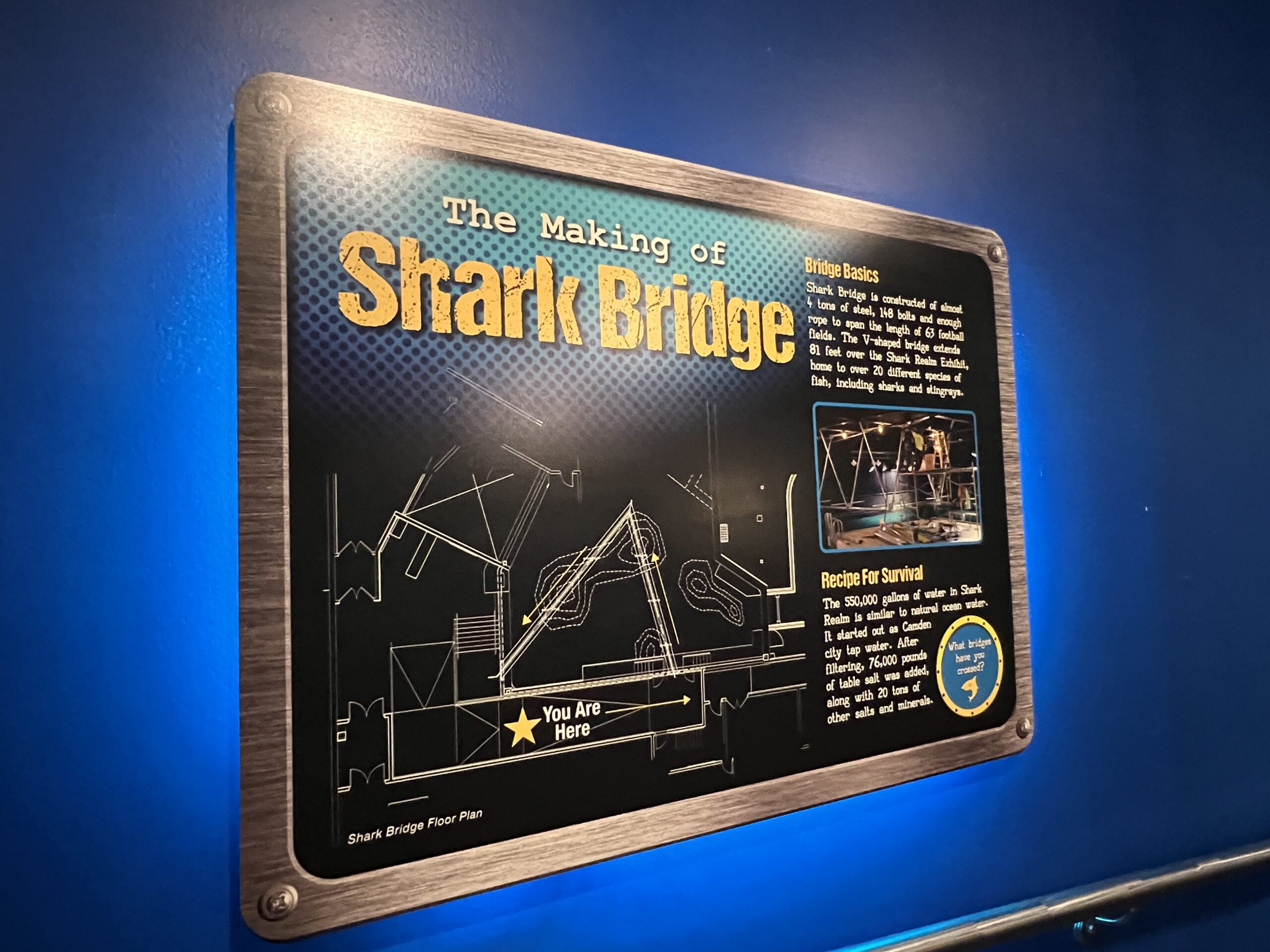 making of shark bridge at Adventure Aquarium