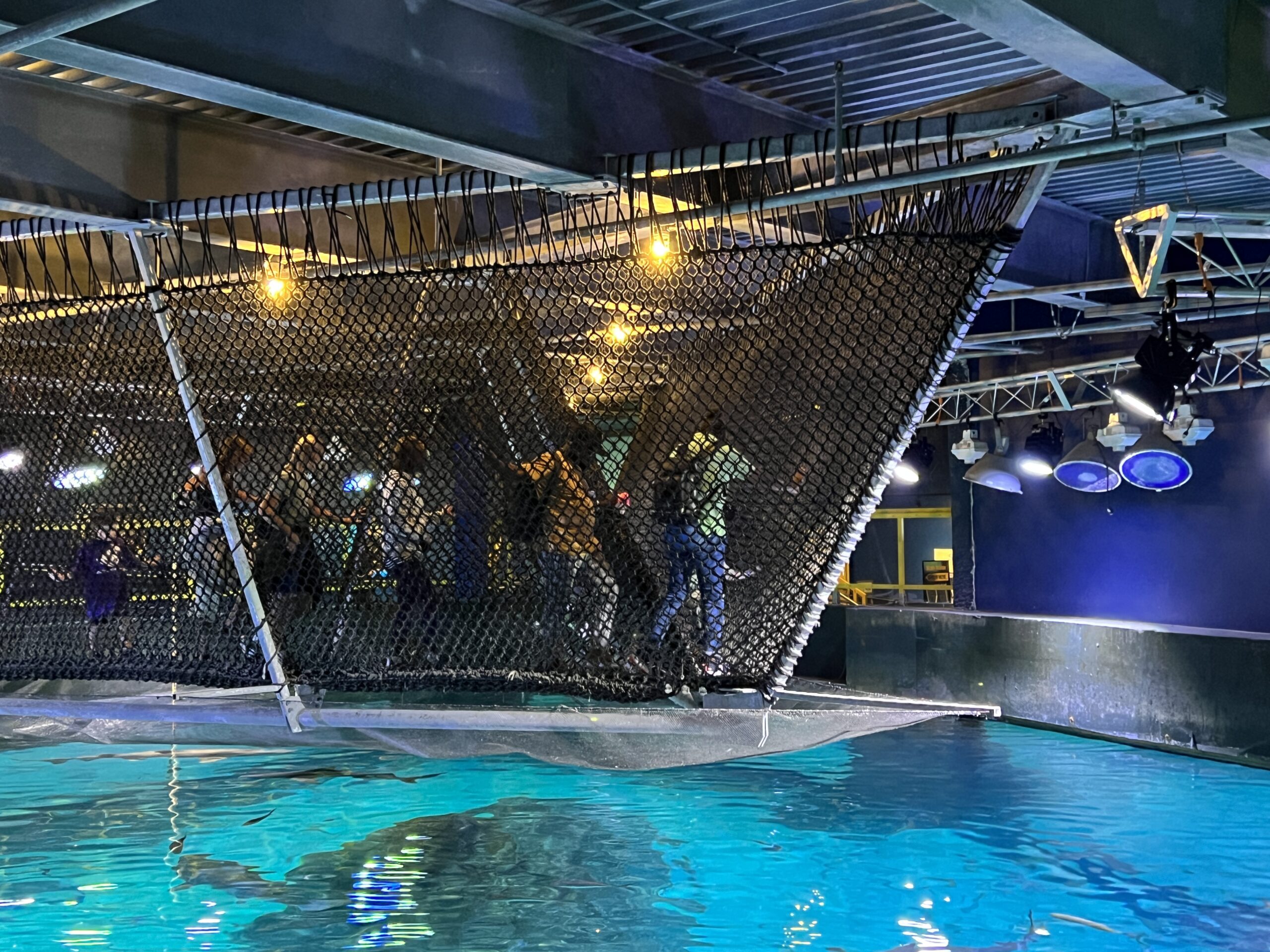 view of Adventure Aquarium shark bridge from the outside