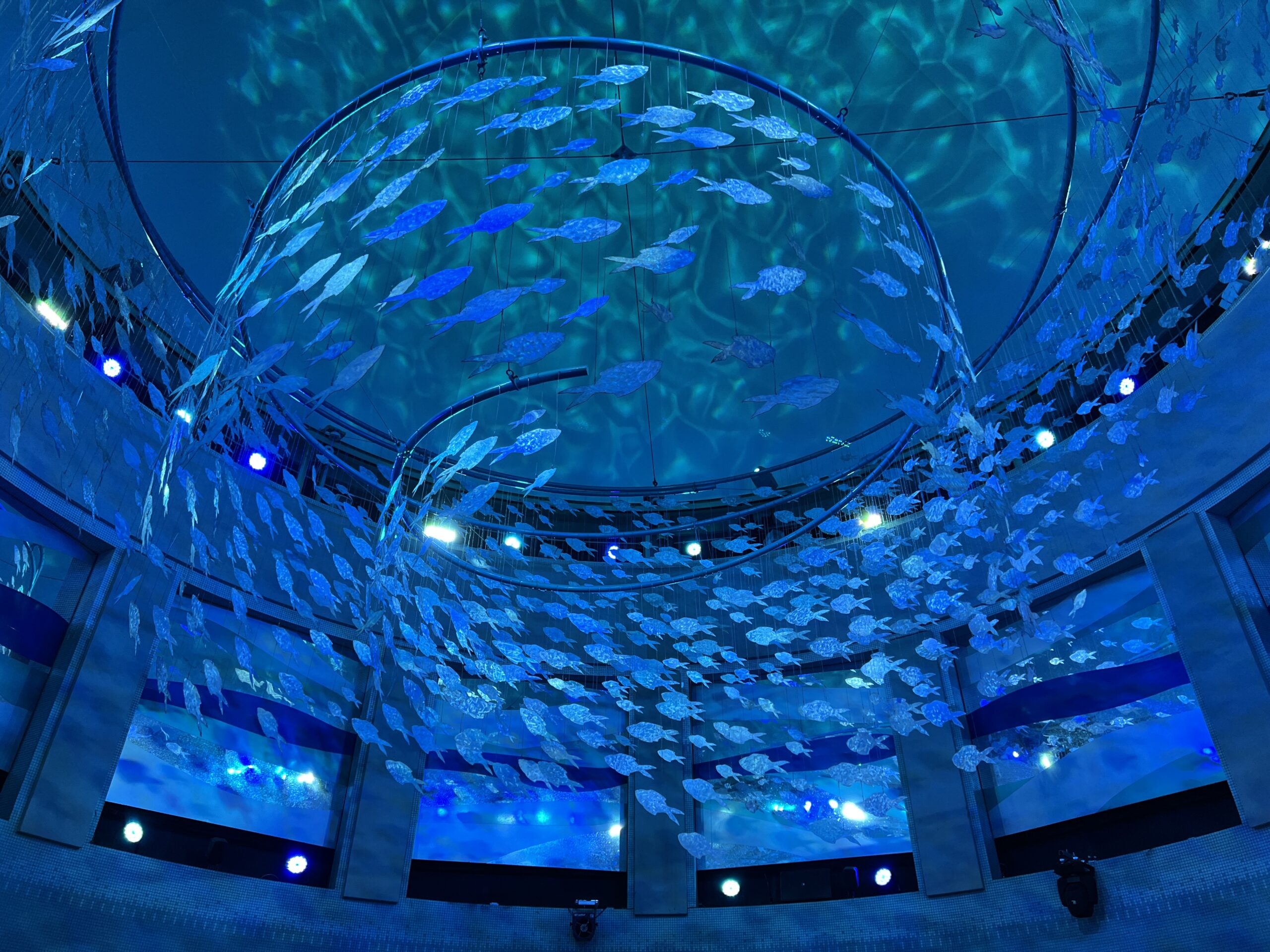 Adventure Aquarium Rotunda