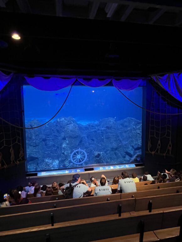 Ocean Realm Theater at Adventure Aquarium